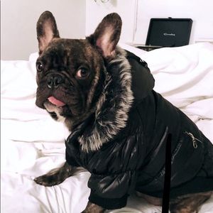 Meet your Posher, Logan